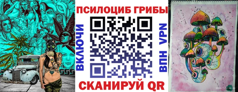 Галлюциногенные грибы Cubensis Осташков